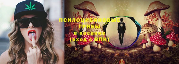 скорость Бородино